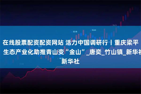 在线股票配资配资网站 活力中国调研行丨重庆梁平：生态产业化助推青山变“金山”_唐奕_竹山镇_新华社